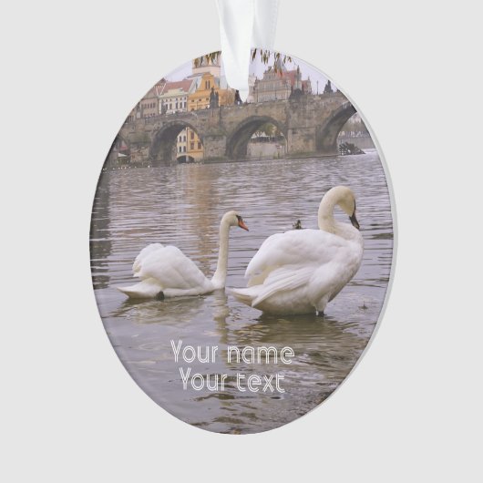 Pont Swans et Charles à Prague (devant)