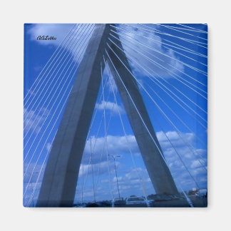 Pont Zakim, Boston Magnet