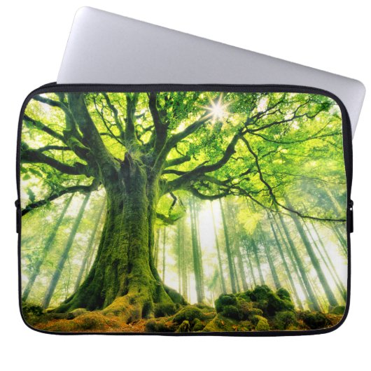Ponthus' Beech Laptop Sleeve (Voorkant)