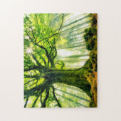 Ponthus' Beech Legpuzzel (Verticaal)