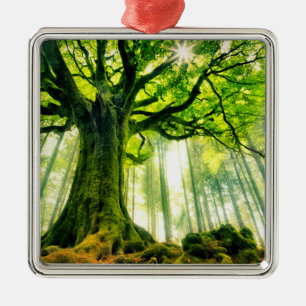 Ponthus' Beech Metalen Ornament