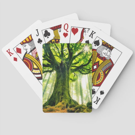 Ponthus' Beech Pokerkaarten (Achterkant)
