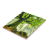 Ponthus' Beech Tegeltje (Zijkant)