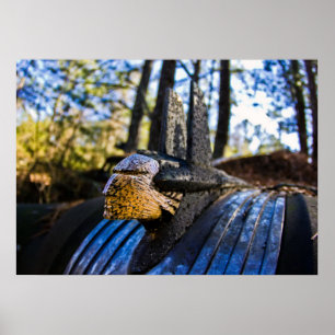 Pontiac Indian Hood Ornament Poster