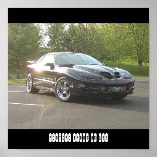 Pontiac Trans Am WS6 Poster (Voorkant)