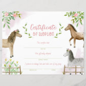 Pony-adoptiecertificaat, certificaat van vaststell (Voorkant)