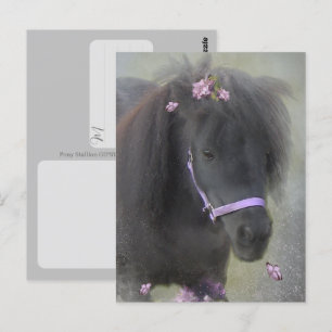Pony - Ansichtkaart Briefkaart