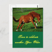 Pony Birthday Briefkaart (Voorkant / Achterkant)