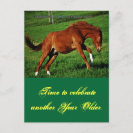 Pony Birthday Briefkaart