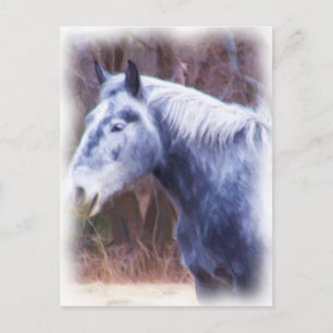 pony briefkaart