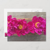 pony-briefkaart briefkaart (Voorkant / Achterkant)