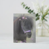 Pony - Carte postale (Debout devant)
