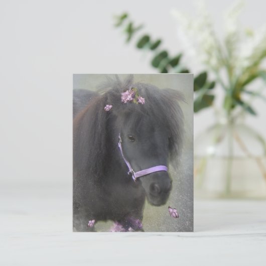 Pony - Carte postale (Debout devant)