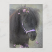Pony - Carte postale (Devant)