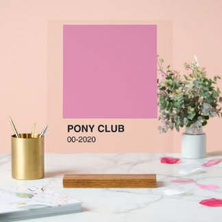 Pony Club Song Roze Kleur - Heldere achtergrond Acryl Bord
