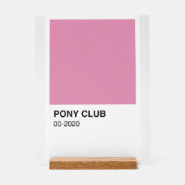 Pony Club Song Roze Kleur - Witte Achtergrond Acryl Bord