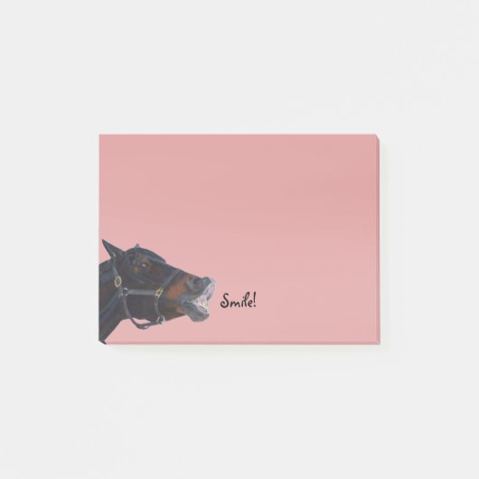 Pony en een glimlach post-it® notes (Voorkant)
