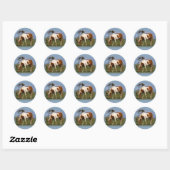Pony- en eengroenstickers ronde sticker (Vel)