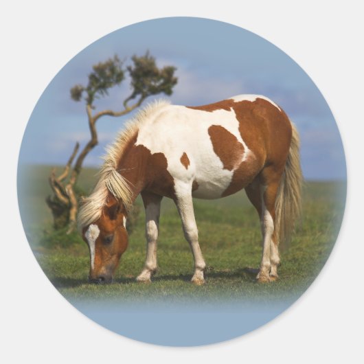 Pony- en eengroenstickers ronde sticker (Voorkant)