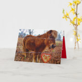 Pony en hart van de Valentijn van het kattenvoer Kaart (Gele Bloem)