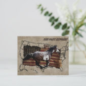 Pony Express Pinto Horse bezorgen US Mail Briefkaart (Staand voorkant)
