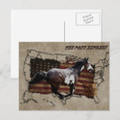 Pony Express Pinto Horse bezorgen US Mail Briefkaart (Voorkant / Achterkant)