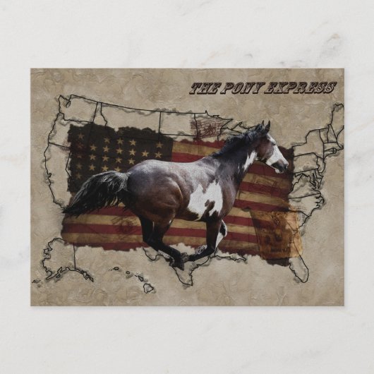 Pony Express Pinto Horse bezorgen US Mail Briefkaart (Voorkant)