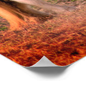 Pony Foto Poster (Hoek)