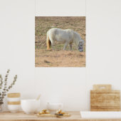 Pony Foto Poster (Keuken)