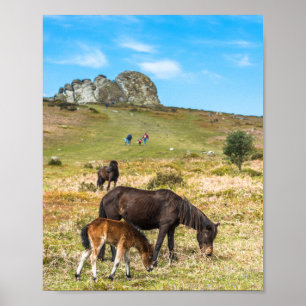 Pony Haytor rock in Dartmoor National Park Devon Poster