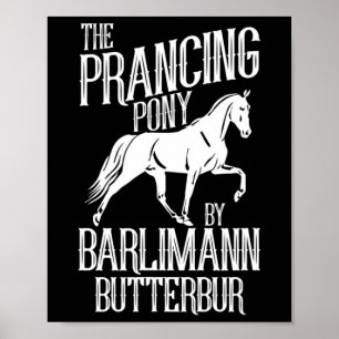 Pony Horse Paardrijden Poster