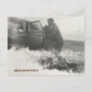 Pony in Car Carte postale