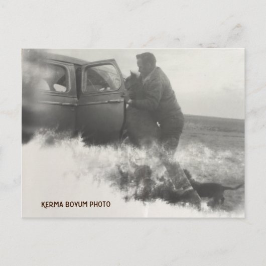 Pony in Car Carte postale (Devant)