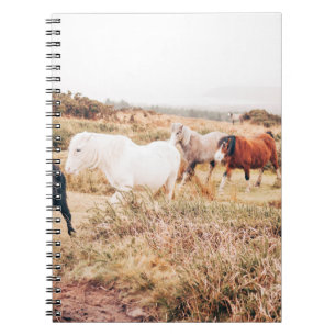 PONY IN DE AUTUMN NOTITIEBOEK