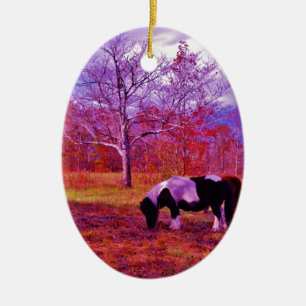PONY IN EEN RAINBOW gekleurd veld Keramisch Ornament