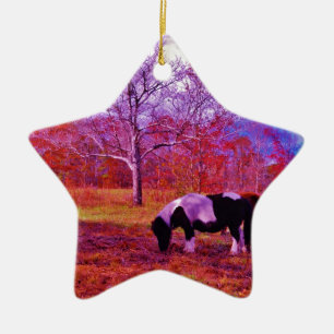 PONY IN EEN RAINBOW gekleurd veld Keramisch Ornament
