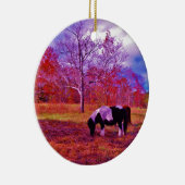 PONY IN EEN RAINBOW gekleurd veld Keramisch Ornament (Rechts)