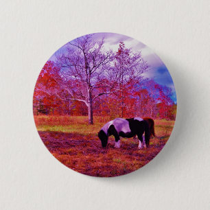 PONY IN EEN RAINBOW gekleurd veld Ronde Button 5,7 Cm