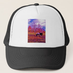 PONY IN EEN RAINBOW gekleurd veld Trucker Pet