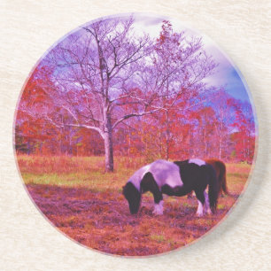 PONY IN EEN RAINBOW gekleurd veld Zandsteen Onderzetter