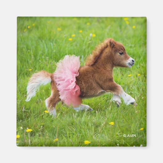 Pony in Tutu Magneet (Voorkant)