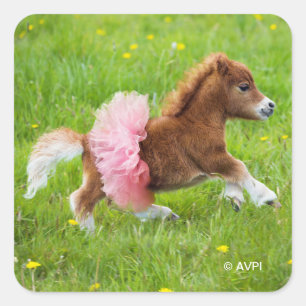 Pony in Tutu Vierkante Sticker