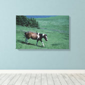 Pony in weide canvas afdruk (Insitu (Houten vloer))