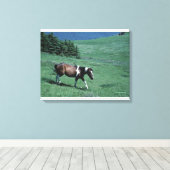 Pony in weide canvas afdruk (Insitu (Houten vloer))