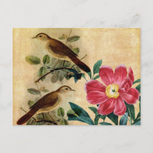 Pony met Nightingales Briefkaart