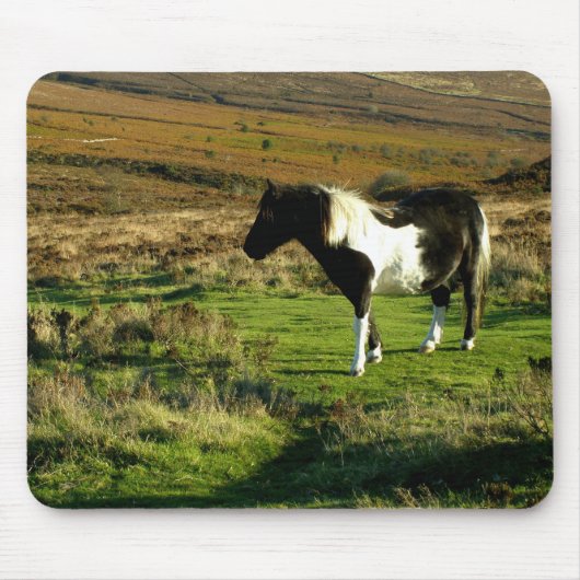 Pony op Dartmoor Muismat (Voorkant)