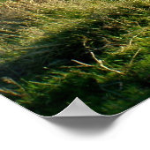 Pony op Dartmoor Poster (Hoek)