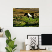 Pony op Dartmoor Poster (Thuiskantoor)