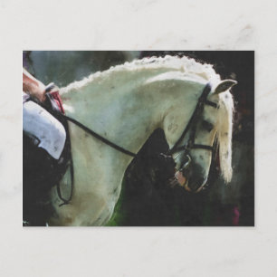 Pony op een show briefkaart