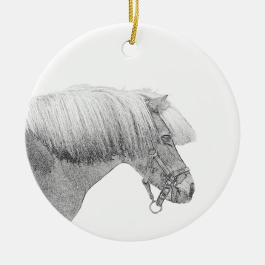 Pony ornament (Voorkant)